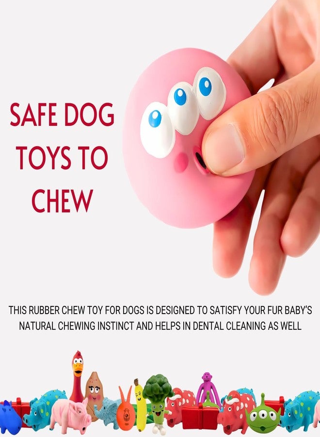 ROYALE DOG Assorted Squeak Dog Toys (Pack of 10) No Stuffing with Soft Squeaker | Small Soft Plush Squeaky Dog Chewing & Teething Toys, Fun Indoor Toy for Puppy & Senior Dogs Chewy Pet Supplies - Image 4