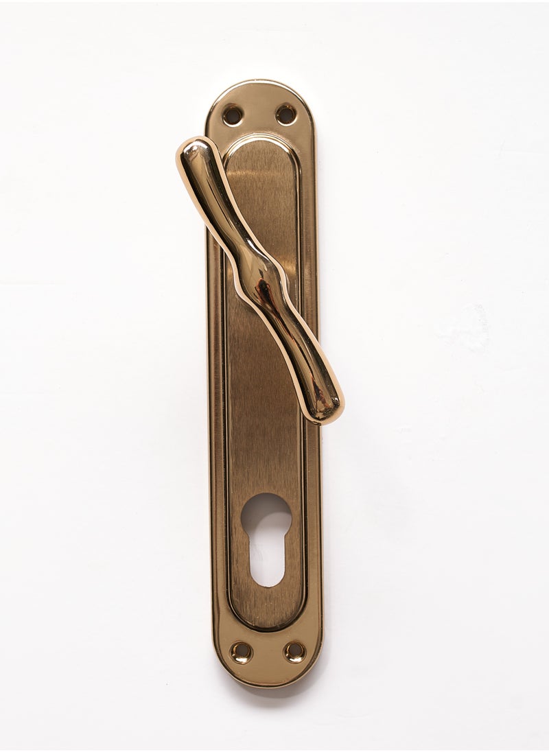 Siag 1/2 Cylinder Siag Door Handle 