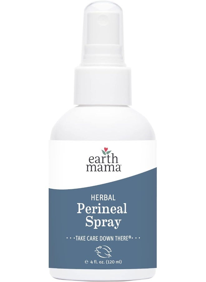 Earth Mama Herbal Perineal Spray by Earth Mama - Image 1