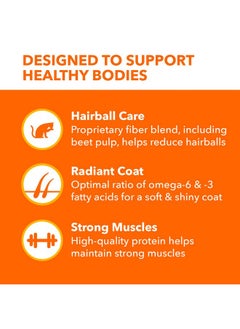 Iams IAMS Proactive Health Long Hair Care Adult Dry Cat Food with Real Chicken & Salmon, 3 lb. Bag  - Image 3