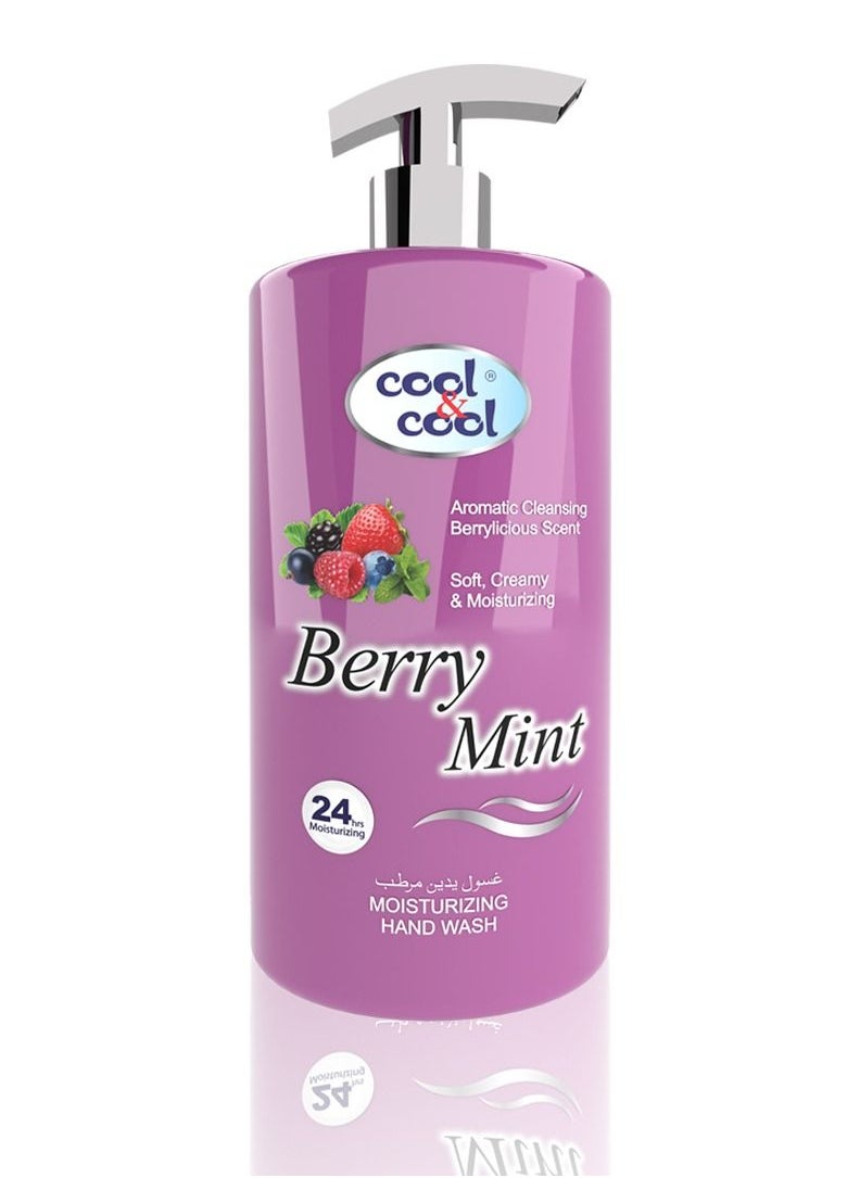 Hand Wash Berry Mint 500ml - pzsku/ZD81F1E3293B635B99B3EZ/45/_/1654521492/dad380f2-e304-4a47-8f62-7ae586a96bb7