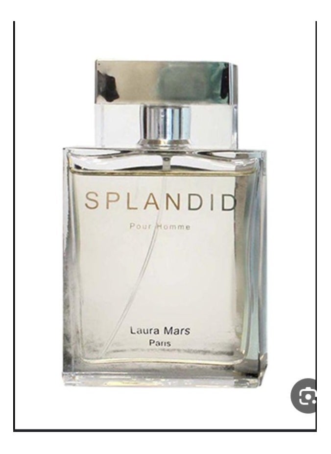 Laura Mars - Splandid EDP 100ml - Image 1