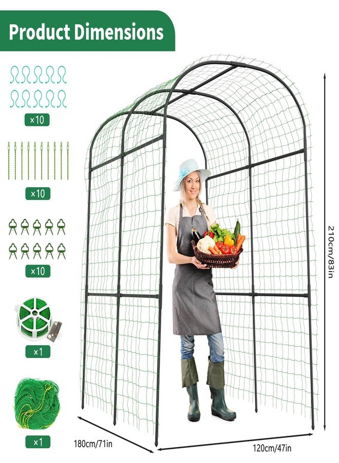SUNYRISY Garden Arch Trellis for Climbing Plants Outdoor, 71" x 47" x 83" Metal Core Tall Archway Tunnel Plant Support for Cucumber Tomato Vine Flowers Vegetables Climbing Plants - Image 4