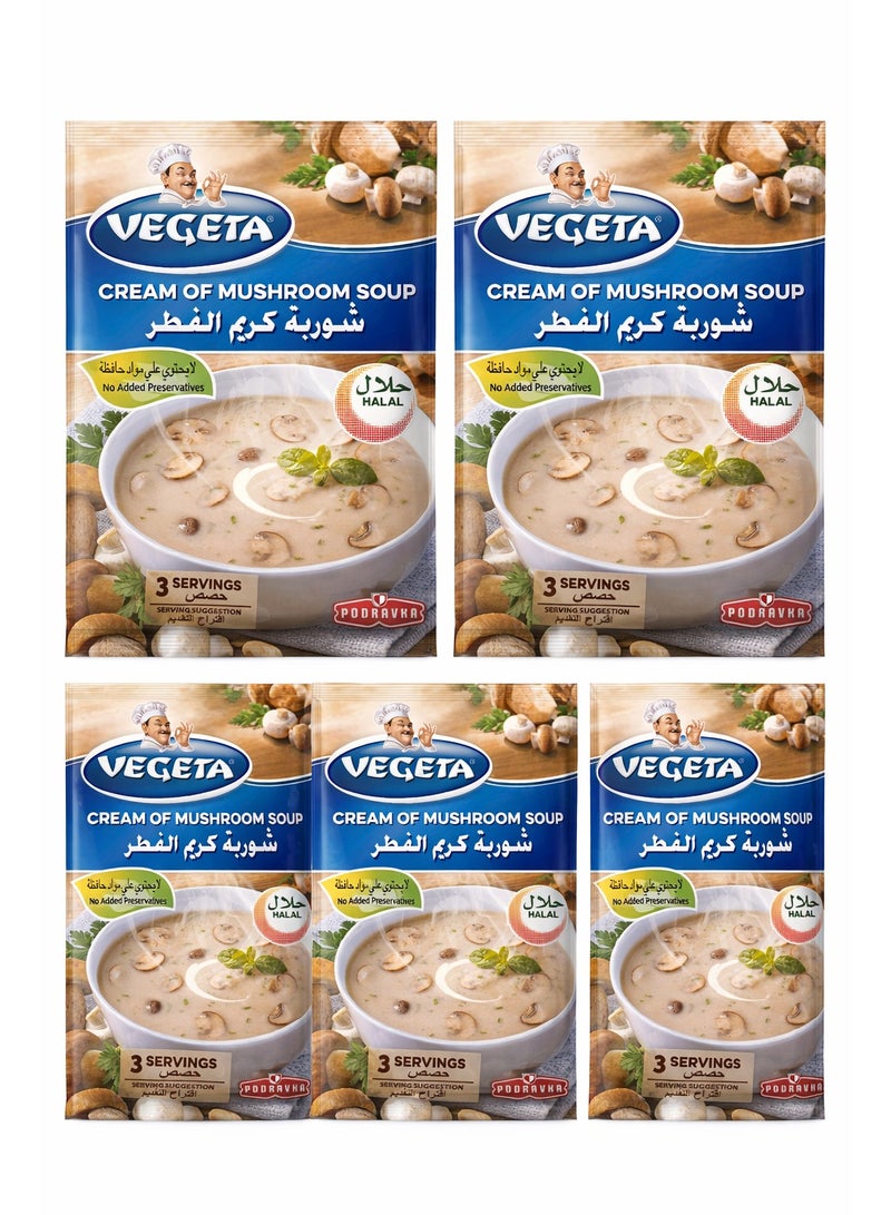 Vegeta Cream of Mushroom Soup 48g – Instant Powdered Mushroom Soup Mix