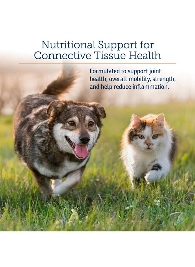 ركس فيتامينز فيتامينات نيوتريفليكس للقطط والكلاب - جلوكوزامين مكمل غذائي للورك والمفاصل للكلاب - مع الكولاجين البقري والكوندرويتين - لتخفيف آلام المفاصل ومضاد للالتهابات للكلاب - كبد البقر (90 قرصًا للمضغ) - Image 3