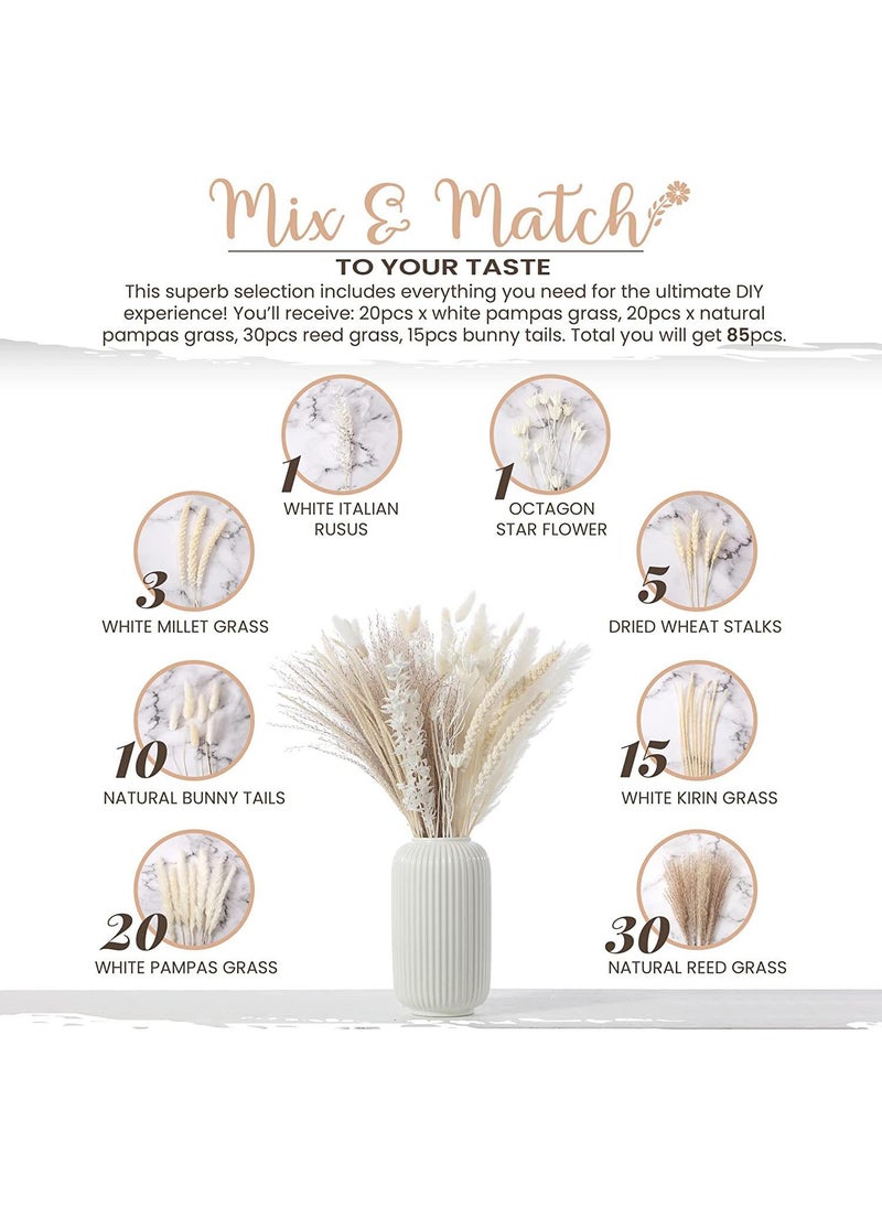 Generic 85 Pcs Dried Pampas Grass Dried Flowers Of Small Reeds Boho Natural Flowers Arrangements White Reed Bunny Tails for Home Decor Flower Living Room Balcony Wedding Party 