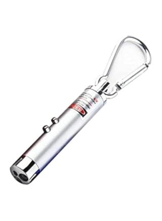 Laser pen with flashlight torch beam light keychain silver - pzsku/ZD82554B5BDBA5FB91269Z/45/_/1728548813/1540afc2-b10a-4fb3-a066-56f8bb52351f