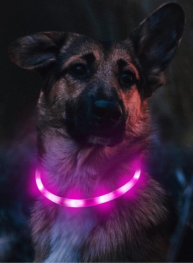 Joytale Light Up Dog Collar, Rechargeable Rainproof LED Collar for Night Walking Safety, Soft Silicone Glow in The Dark, Suitable for Small Medium Large Dogs, Purple - Image 3