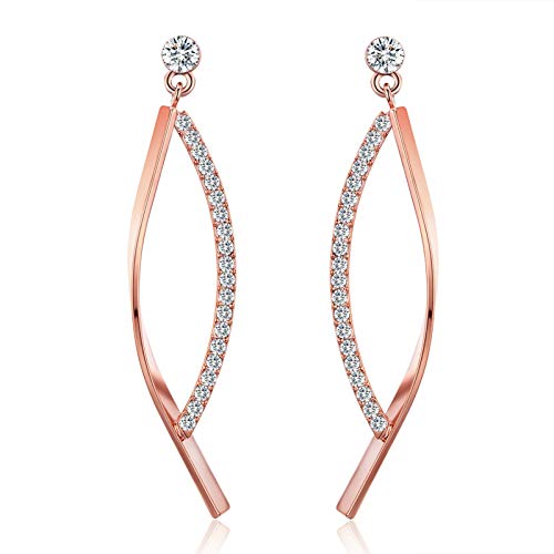 SBLING 18K Rose Gold Plated Cubic Zirconia Drop Earrings - Image 1
