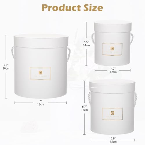 Hollyone White Gift Box with Lids Set of 3 Round Nesting Gift Boxes Cylinder for Presents 3 Assorted Sizes Flowers Arrangements Box for Gift Giving Christmas Valentine Mom Gifts Present Wrapping - Image 3