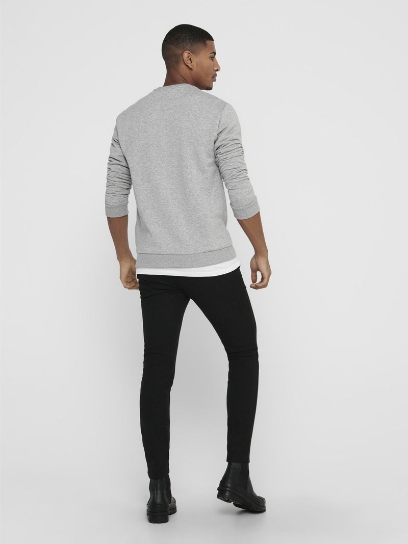Ceres Life Crew Neck Men's Gray Sweatshirt