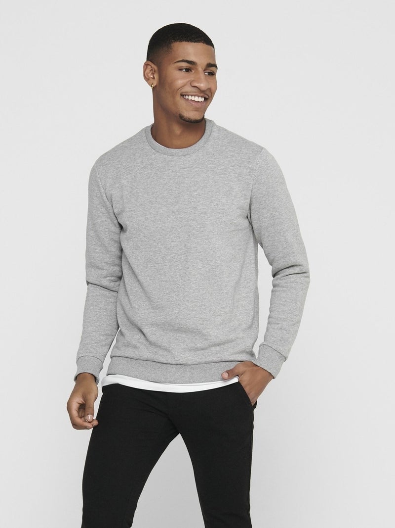Ceres Life Crew Neck Men's Gray Sweatshirt