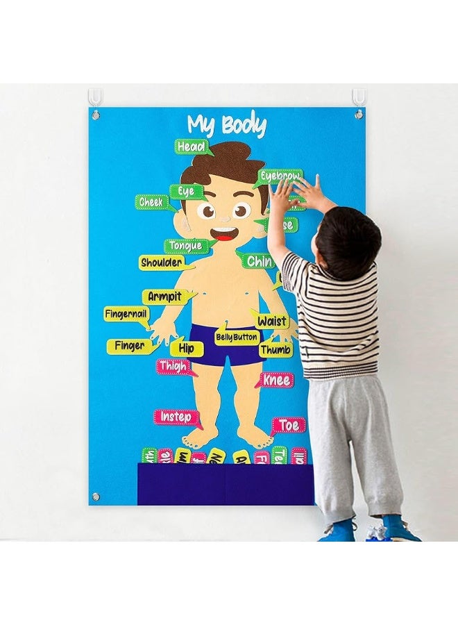 WATINC 35Pcs Body Parts Learning Felt Story Board Set Preschool Human Organ Educational Teaching Storytelling Early Learning Interactive Play Kit Wall Hanging Gift for Toddlers Kids 41 x 30 Inch - Image 2