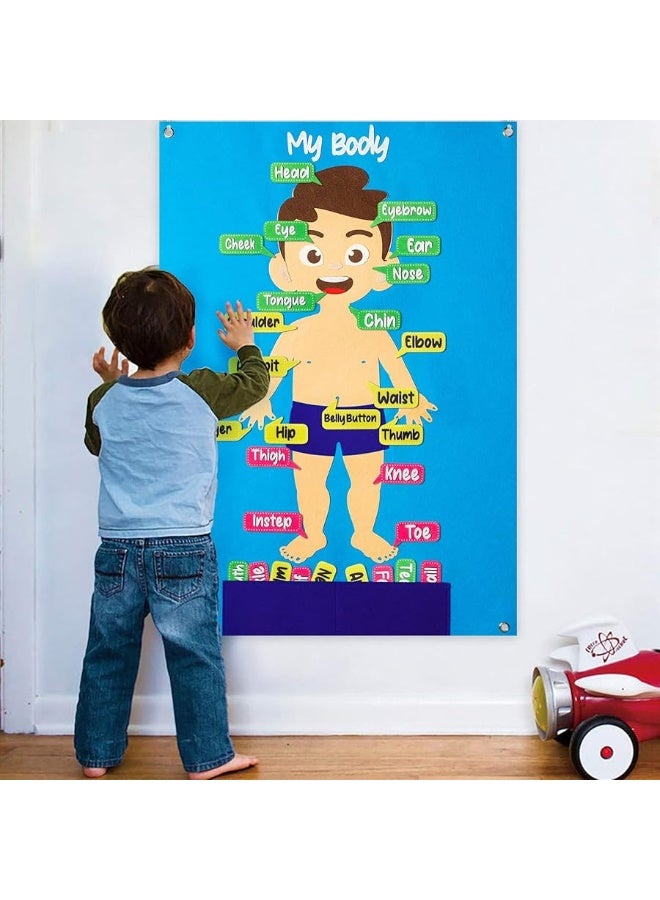 WATINC 35Pcs Body Parts Learning Felt Story Board Set Preschool Human Organ Educational Teaching Storytelling Early Learning Interactive Play Kit Wall Hanging Gift for Toddlers Kids 41 x 30 Inch - Image 3