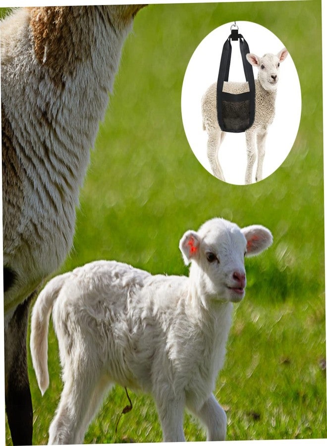 balacoo pet Spreader Hanging Scale Sling Alpaca Hanging Weight Sling Goat Lifting Harness Calf Scale Hanging Harness Pet Weighing Sling Breathable Calf Sling Animal Scale Nylon Lamb - Image 5