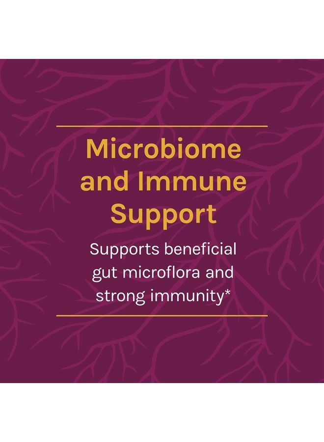 Host Defense , Turkey Tail Mushroom Powder, Supports Immune Health, Mushroom Supplement, Plain, 3.5 Ounce (Pack of 1) - Image 2