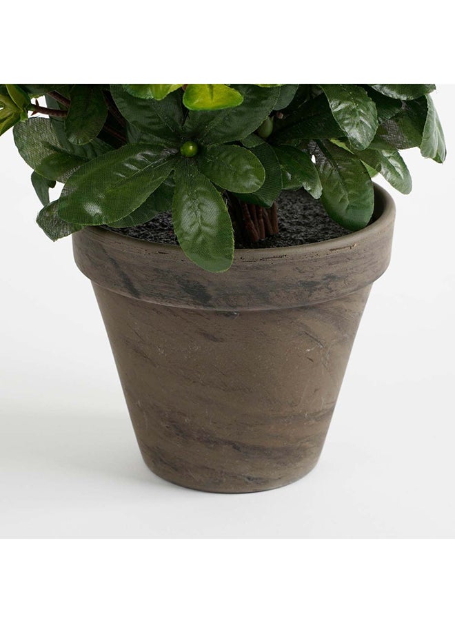 Suncoast Suncoast Bravo Square Pot Planter-Beige  - Image 3