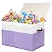 Gowee Large Toy Box with Lid Sturdy Toy Storage Chest Bin Boxes Organizer Basket with Dividers for Toddlers Kids Boys Girls Nursery Living Room Bedroom Playroom 25x13 x16 Purple and White - Image 3
