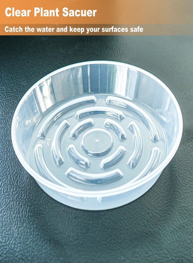 MSKIAUO 6 Packs Plant Saucer, Clear Pot Tray 6 8 10 12 14 Inch Plastic Flower Planter Saucers and Drip Trays for Indoors Outdoors, Heavy Durable Plant Plate Water Catcher (6 Inch) - Image 3