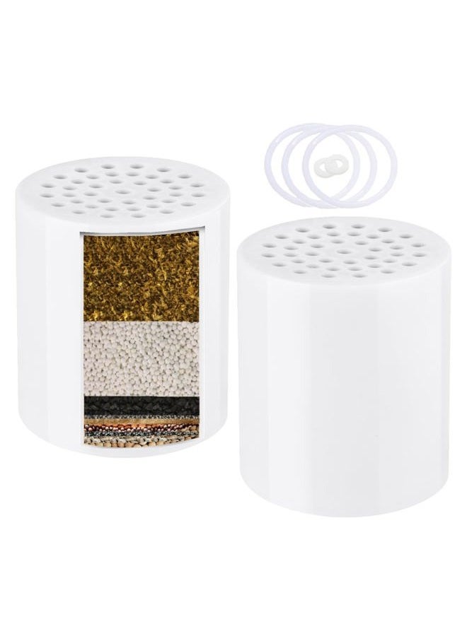 Luxau 2 Pack 15 Stage Shower Filter Replacement Cartridge, Shower Head Filter Refill Cartridge, for Hard Water Chlorine Heavy Metal Impurity, Improve Skin Hair, Fit Any Similar Design Shower Water Filter - Image 1