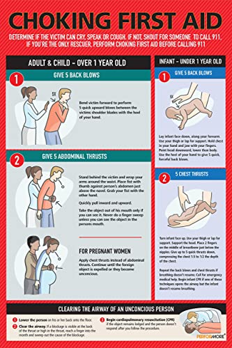Safety Supply Mart Safety Choking Victim Poster Measures 12" x 18", Choking First Aid Poster for Infants, Kids, Pregnants, and Adults, First Aid Guide Quick Reference Guide, Laminated - Image 1