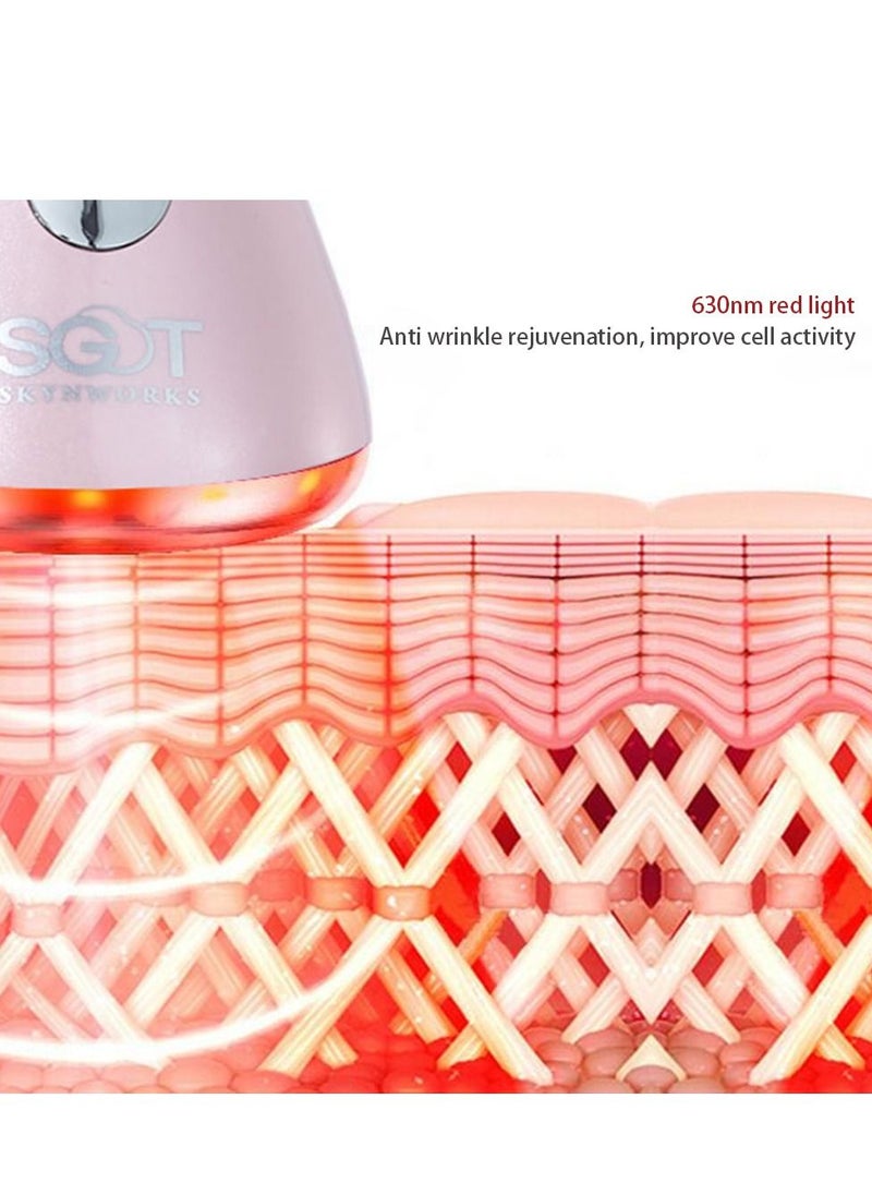 Ion Double Nutrition Import Technology Device - Magnetic Therapy for Pore Reduction and Wrinkle Firmness