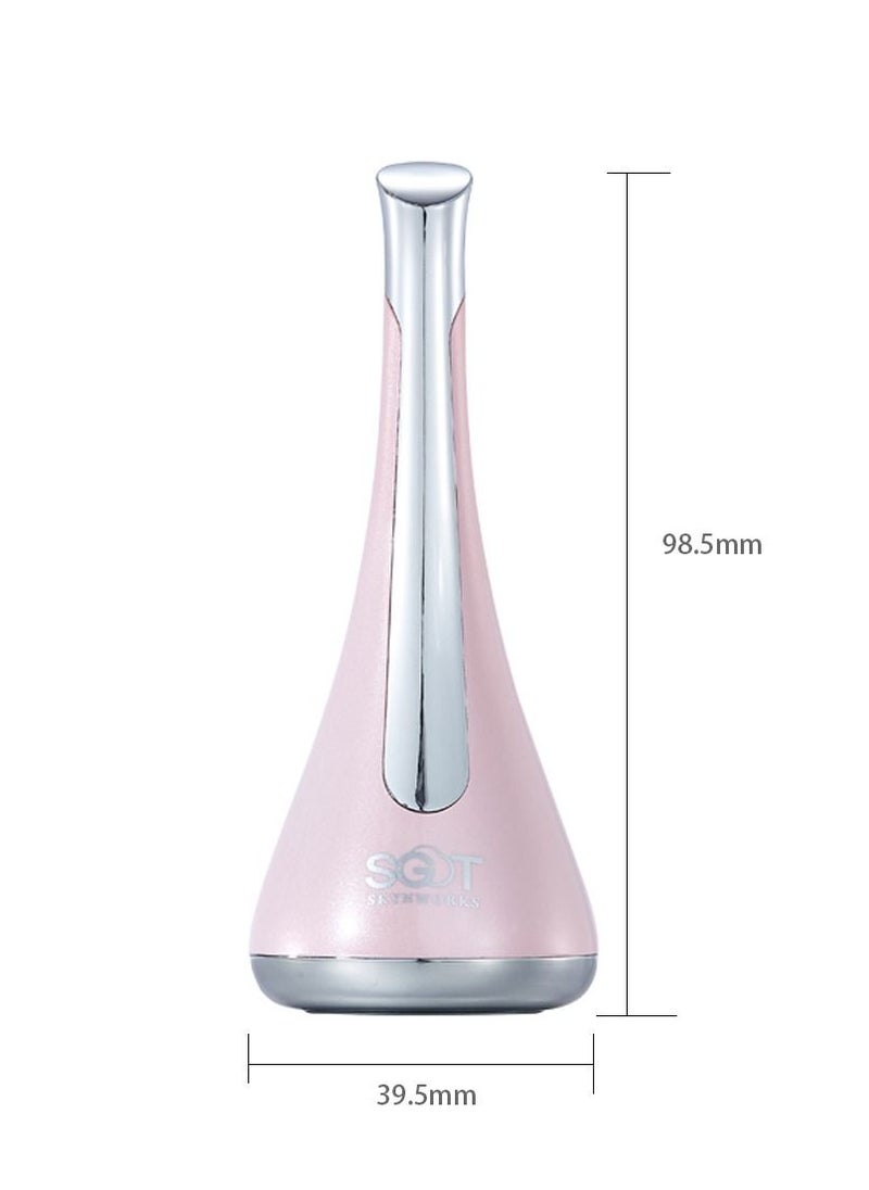 Ion Double Nutrition Import Technology Device - Magnetic Therapy for Pore Reduction and Wrinkle Firmness