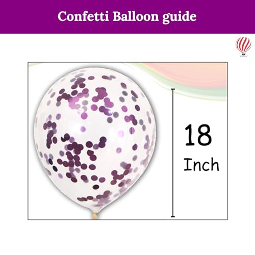 HK balloons Paper 53 Piece Violet 1St Birthday Girl Decoration Item Set Combo With Month Banner Decorations For A Violet-Themed Birthday Celebrations For Girls 1St Birthday Decorations Backdrop Kit - Image 5