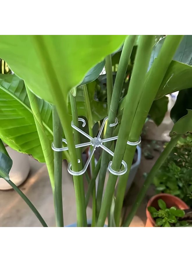 Transparent Adjustable Plant Support Clips 4pcs For Secure Upright Growth Indoor Outdoor - Image 4