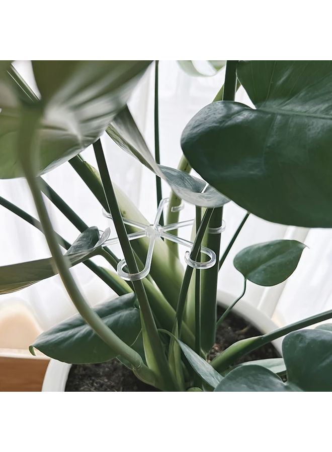 Transparent Adjustable Plant Support Clips 4pcs For Secure Upright Growth Indoor Outdoor - Image 1