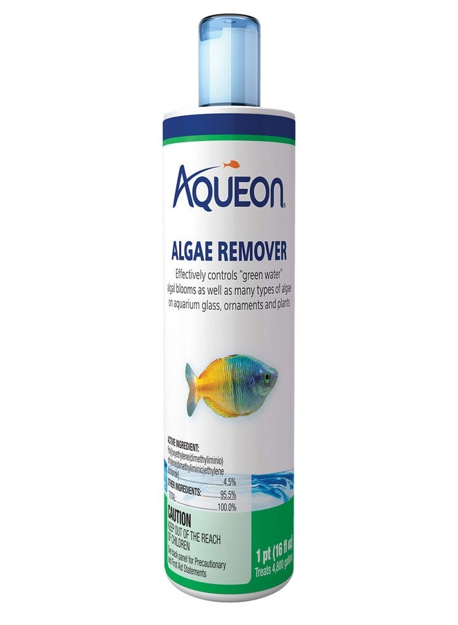 Aqueon Algae Removers 16 Fluid Ounces - Image 1