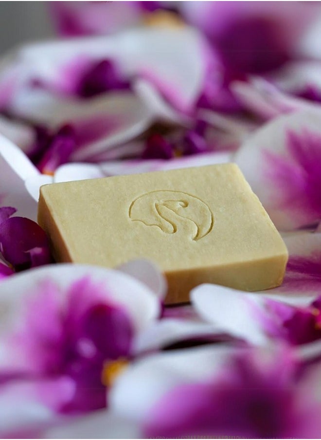 The Camel Soap Factory Lavender & Rose Geranium Castile Soap Bar 95g  - Image 5