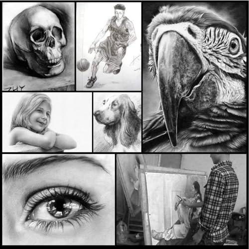 Corslet 36 Pc Art Sketching Kit Graphite Charcoal Drawing Pencil Set for Artist Kit Painting Shading Sketch Kit for Kids and Adults with Zipper Carry Case (35 Pcs) - Image 5