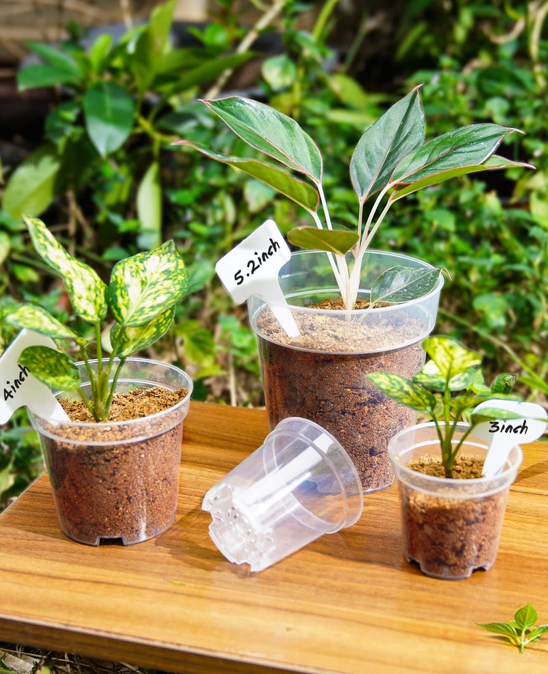 homenote Clear Nursery Pots for Plants,4 Inch Plant Pot for Planting Plastic Seedling with Drainage Holes Seed Starter Flower High Transparency with 20 Labels (30 Pack) - Image 3
