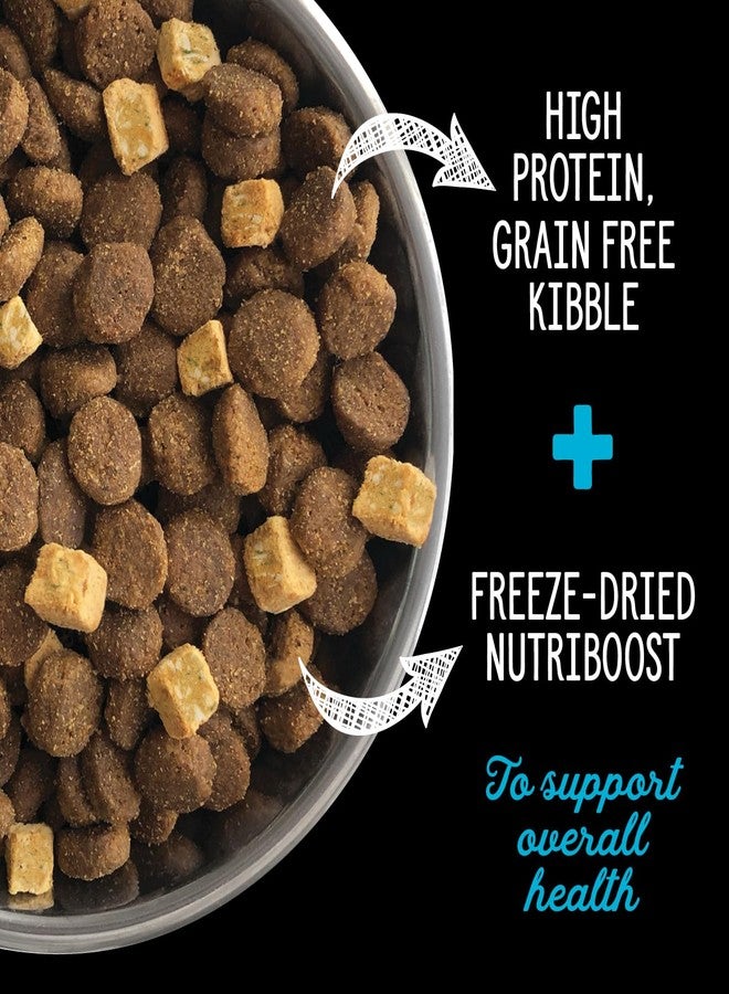 Nutrience Subzero Canadian Pacific Grain-Free Freeze-Dried Dog Food, Nutriboost Formula, Fresh Fish 1lb (450g) - Image 2