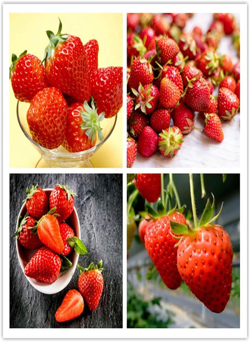 GGOOT 100 Strawberry Seeds Sweet Aromatic Fruit and Vegetable Climbing Strawberry Seeds for Outdoor Garden Planting Gardeners' Favorite Varieties - Image 1