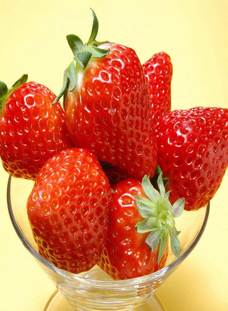 GGOOT 100 Strawberry Seeds Sweet Aromatic Fruit and Vegetable Climbing Strawberry Seeds for Outdoor Garden Planting Gardeners' Favorite Varieties - Image 3