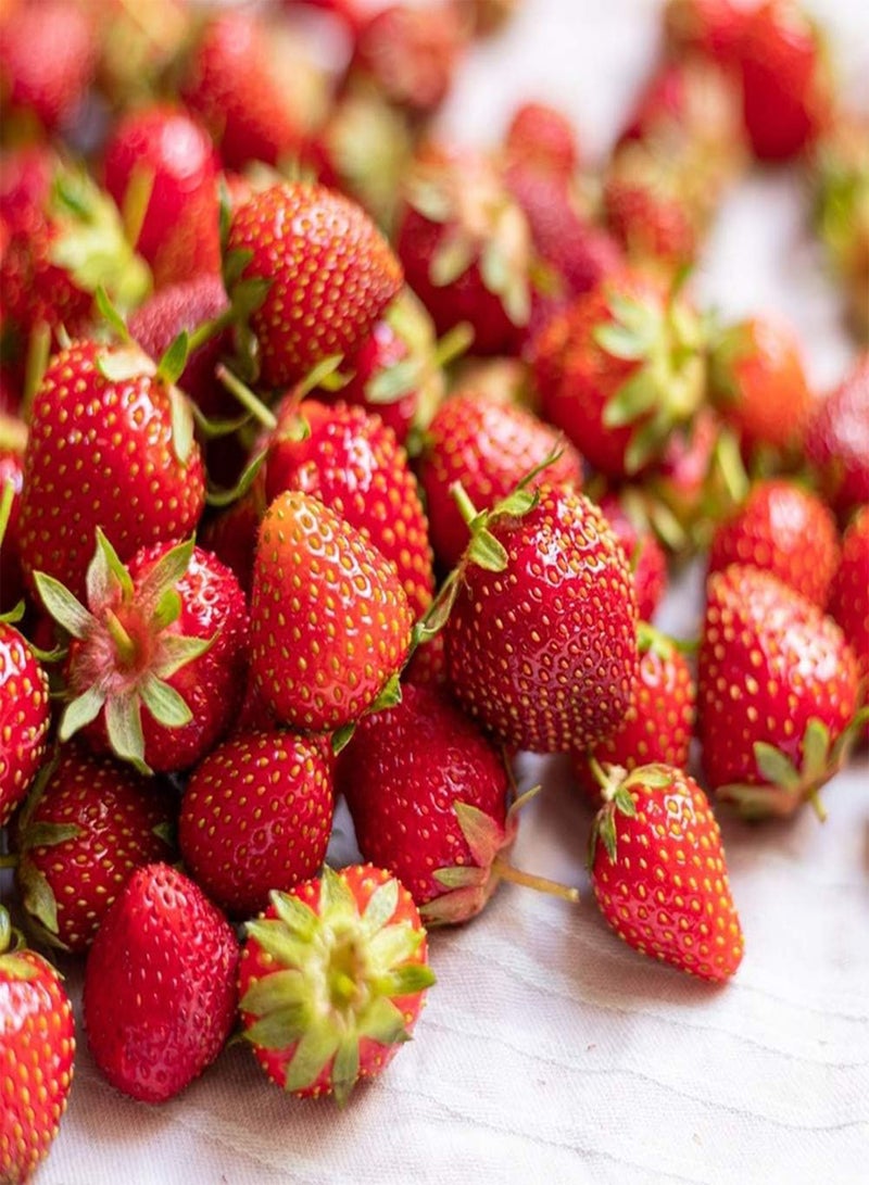GGOOT 100 Strawberry Seeds Sweet Aromatic Fruit and Vegetable Climbing Strawberry Seeds for Outdoor Garden Planting Gardeners' Favorite Varieties - Image 4