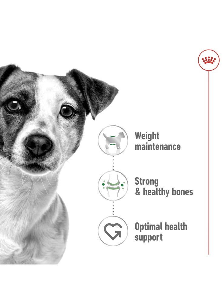 رويال كانين صحة الحجم التغذية البسيطة للبالغين 2 كجم - Image 3