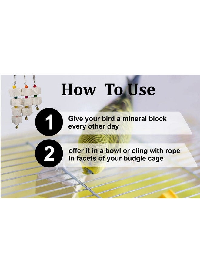 VetSafe All Life Stages Natural Mineral Block for Birds(250 gm) - Image 2
