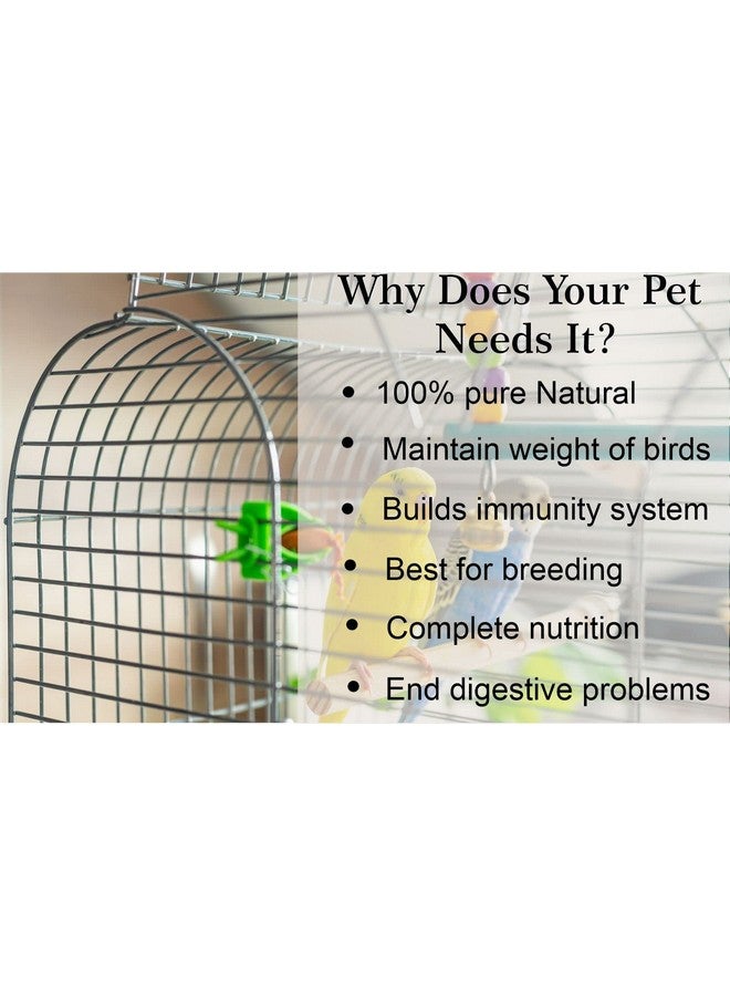 VetSafe All Life Stages Natural Mineral Block for Birds(250 gm) - Image 4
