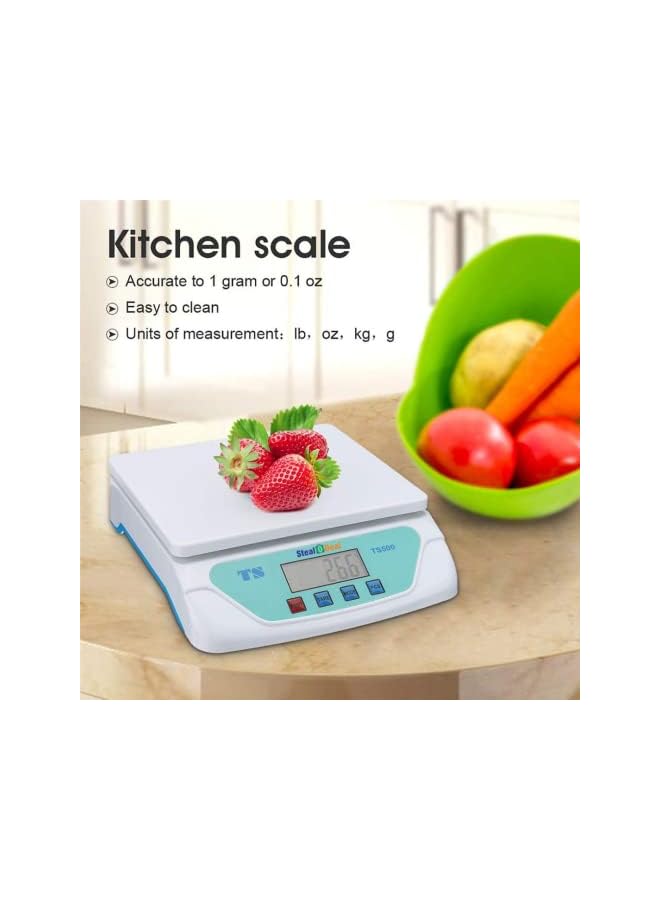IAF Multipurpose Electronic Digital Weighing Scale Weight Machine TS-500 Kitchen Weight Measuring Machine Digital Weighing Scale for Laboratories, Research Purpose - Capacity 1 Gram To 30 KG - Image 3