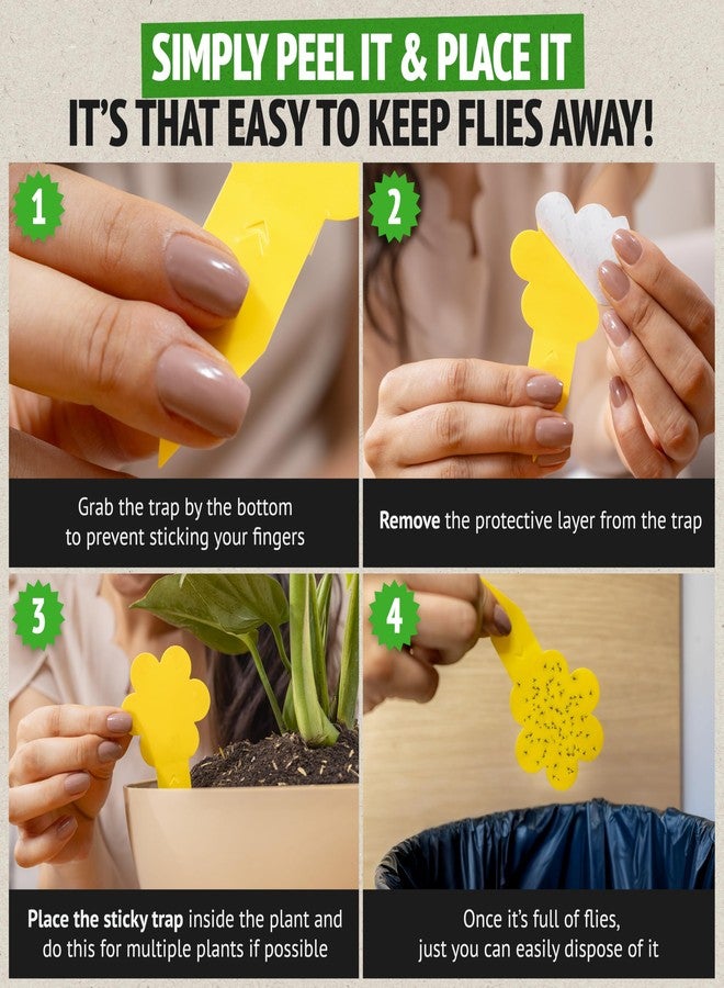 Super Ninja Fungus Gnat Traps - 30 Pack, Highly Effective Gnat Traps for House Indoor, Yellow Sticky Trap for Plants, Non-Toxic & Nature-Friendly, Up to 3 Months - Image 4
