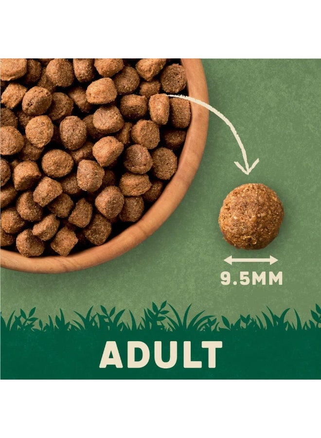 Harringtons Complete Lamb & Rice Adult Dry Dog Food 1.7kg - Image 3