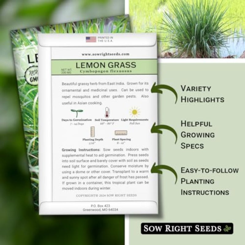 - Lemon Grass Seed for Planting Mosquito Repellent Herbs - Image 2