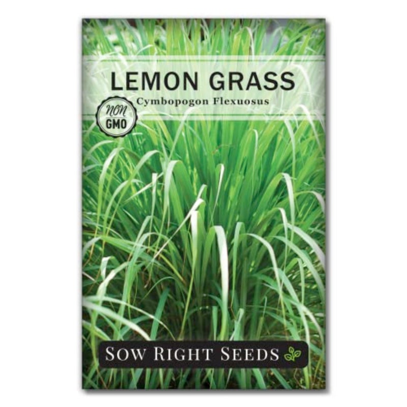 - Lemon Grass Seed for Planting Mosquito Repellent Herbs - Image 1