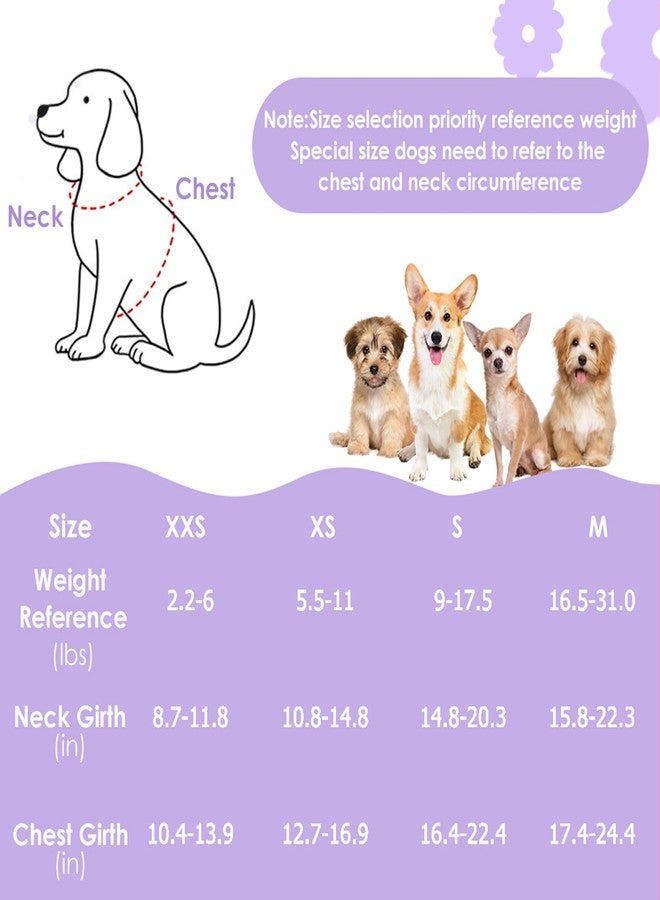 Lukovee Puppy Harness and Leash Set, No Pull Lightweight Soft Suede Adjustable Pet Harness Vest with Snap Buckle for Puppy Small and Medium Size Dog (Purple-XS) - Image 2