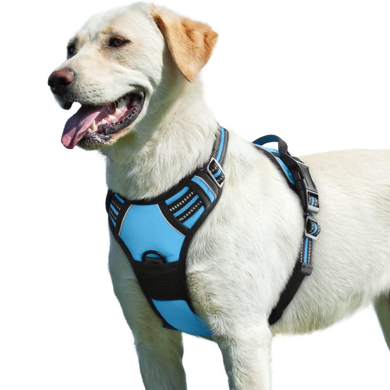 Eagloo Dog Harness for Large Dogs, No Pull Service Vest with Reflective Strips and Control Handle, Adjustable and Comfortable for Easy Walking, No Choke Pet Harness with 2 Metal Rings, Sky Blue, L - Image 1