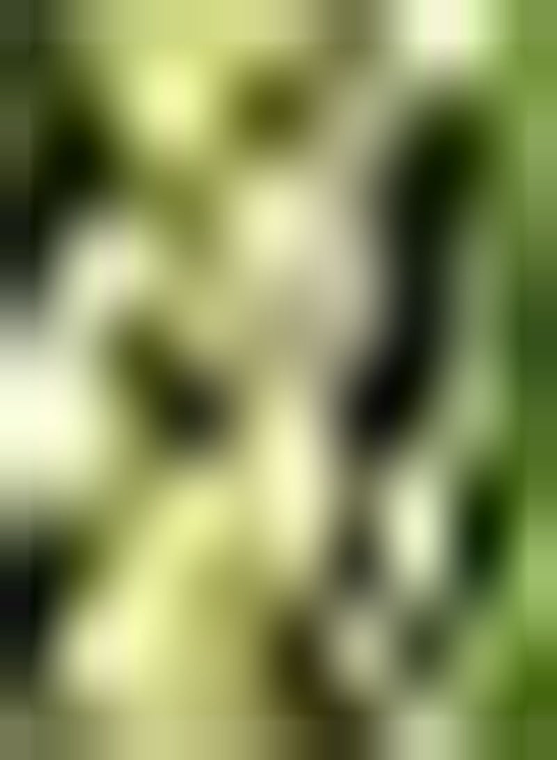 جي جوت 100 قطعة من بذور زهر العسل للتخزين طويل الأمد وجذب الحشرات والطيور المفيدة ورائحة ساحرة وتحسين البيئة وإدارة الحقل - Image 2