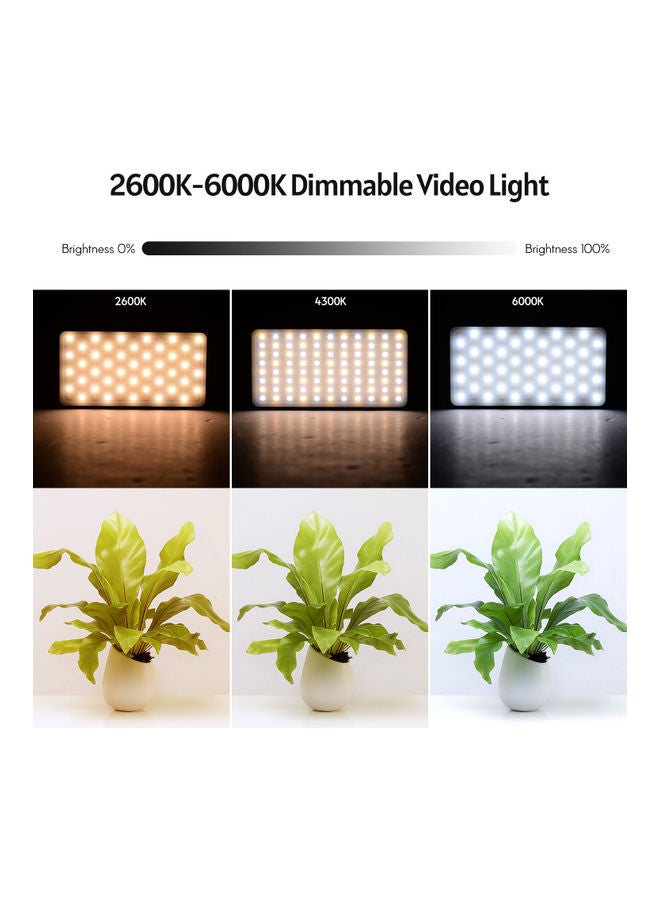 Loquat RGB LED Video Light Kit Black/White - Image 4